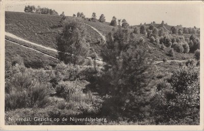 NIJVERDAL - Gezicht op de Nijverdalseberg