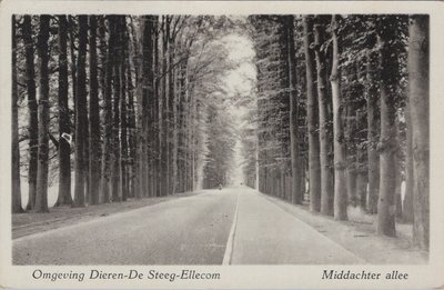 DIEREN - DE STEEG - ELLECOM - Middachter allee