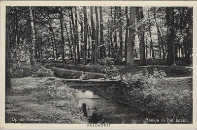 HULSHORST - Op de Veluwe. Beekje in het bosch