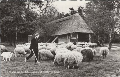 LOENEN (Vel.) - Schaapskooi met kudde en herder