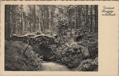 NUNSPEET - Bruggetje in het Bosch