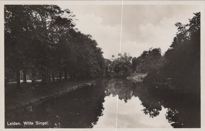 LEIDEN - Witte Singel