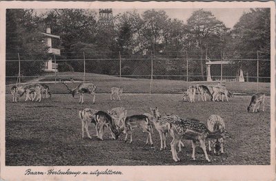 BAARN - Hertenkamp m. uitzichttoren