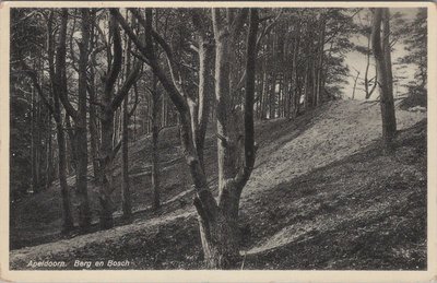 APELDOORN - Berg en Bosch