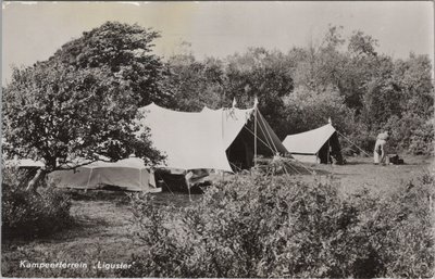 OVERVEEN - Kampeerterrein Liguster