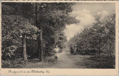 EDE - Boschgezicht op den Klinkenberg