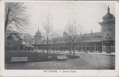 ROTTERDAM - Dieren Paleis