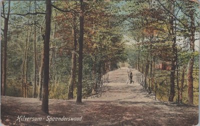 HILVERSUM - Spaanderswoud