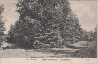 LUNTEREN - Bosch omstreken Sanatorium