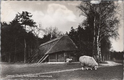 LOENEN - Schaapskooi Loenermark