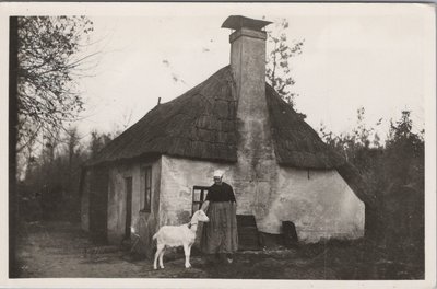 ELSPEET - Op de Veluwe, Elspeet Naar de weide