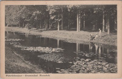 HEEMSTEDE - Waterlelievijver - Groenendaal