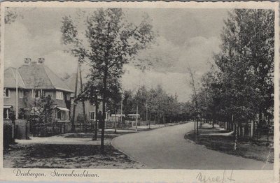 DRIEBERGEN - Sterrenboschlaan