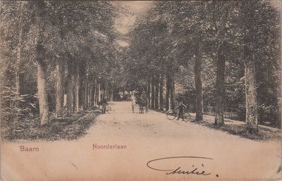 BAARN - Noorderlaan