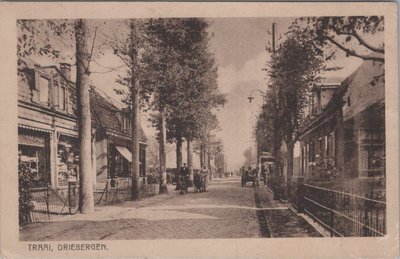 DRIEBERGEN - Traai