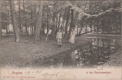 HAARLEM - In den Haarlemmerhout