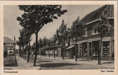 DEN HELDER - Crocusstraat