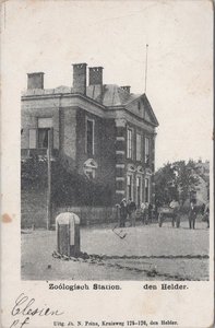 DEN HELDER - Zoölogisch Station