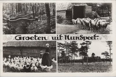 NUNSPEET - Meerluik Groeten uit  Nunspeet