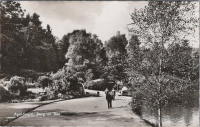 APELDOORN - Berg en Bos