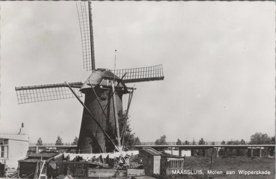 MAASSLUIS - Molen aan de Wipperskade