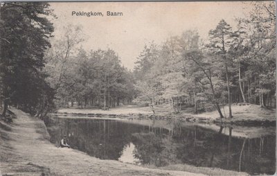 BAARN - Pekingkom