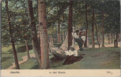 BAARN - In het Bosch