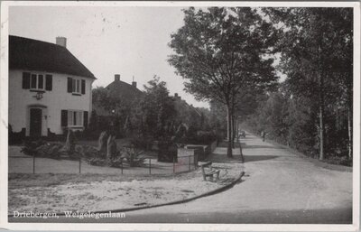 DRIEBERGEN - Welgelegenlaan