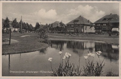 DRIEBERGEN - RIJSSENBURG - Oranjevijver