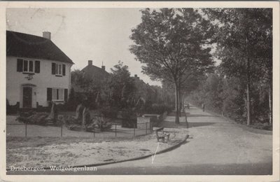 DRIEBERGEN - Welgelegenlaan