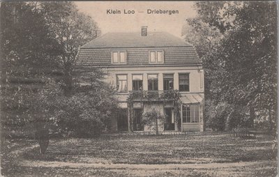 DRIEBERGEN - Kleine Loo