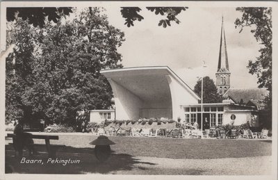 BAARN - Pekingtuin