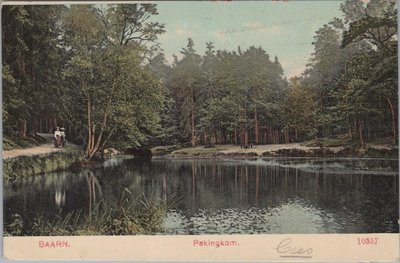 BAARN - Pekingkom