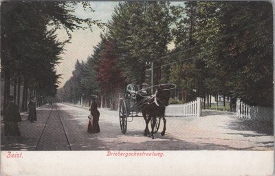 ZEIST - Driebergschestraatweg