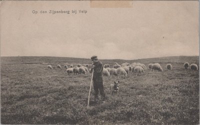 VELP - Op den Zijpenberg bij Velp