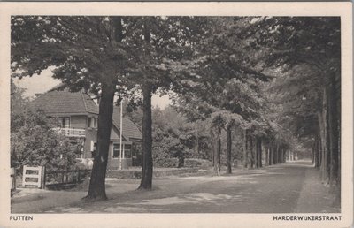 PUTTEN - Harderwijkerstraat