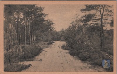 NUNSPEET - In het Bos