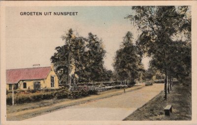 NUNSPEET - F. A. Molijnlaan. Groeten uit Nunspeet