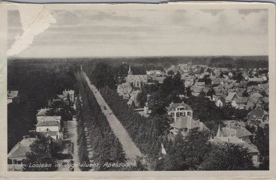 APELDOORN - Loolaan in Vogelvlucht