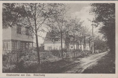 OOSTVOORNE AAN ZEE - Boschweg