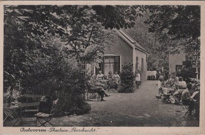 OOSTVOORNE - Theetuin Boschzicht