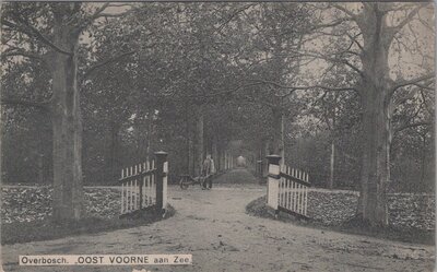 OOSTVOORNE AAN ZEE - Overbosch