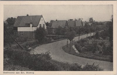 OOSTVOORNE AAN ZEE - Bosweg