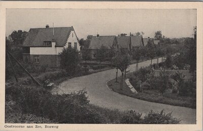 OOSTVOORNE AAN ZEE - Bosweg