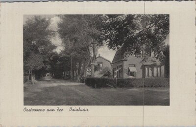 OOSTVOORNE AAN ZEE - Duinlaan