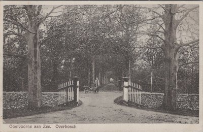 OOSTVOORNE AAN ZEE - Overbosch