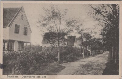 OOSTVOORNE AAN ZEE - Boschlaan