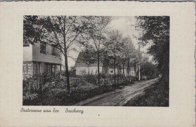 OOSTVOORNE AAN ZEE - Boschweg