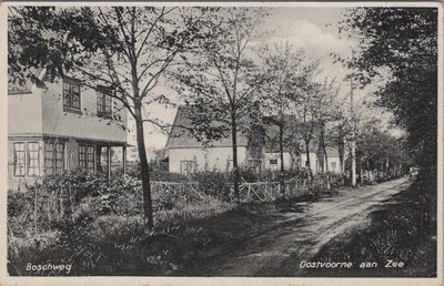 OOSTVOORNE AAN ZEE - Boschweg