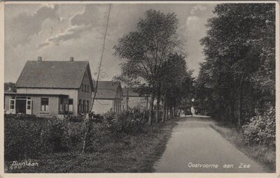 OOSTVOORNE AAN ZEE - Duinlaan